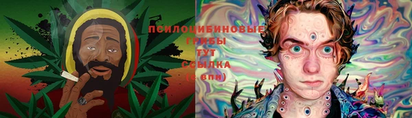 мяу мяу мука Алексин