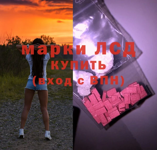 тгк Алзамай