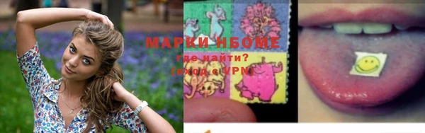 тгк Алзамай