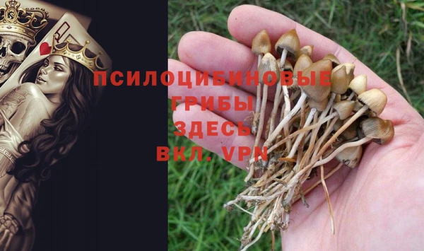тгк Алзамай