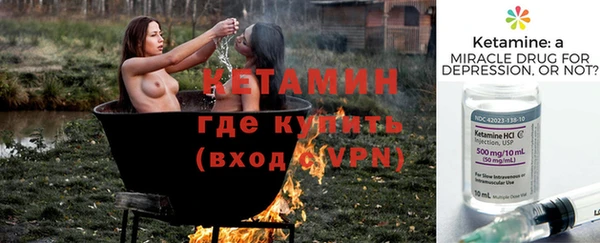 стаф Вязьма