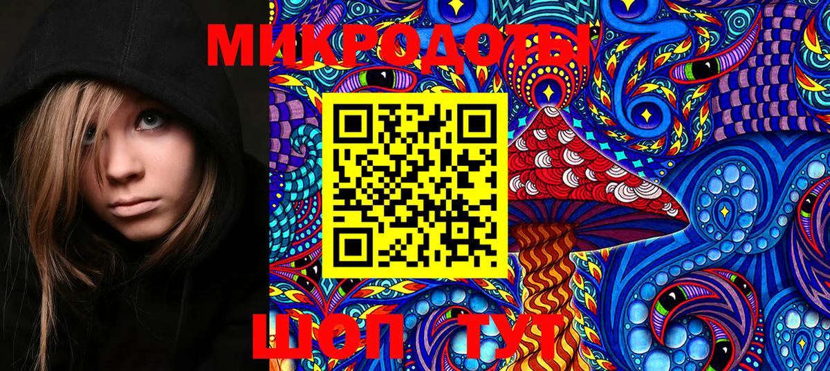 Псилоцибиновые грибы Psilocybe Когалым