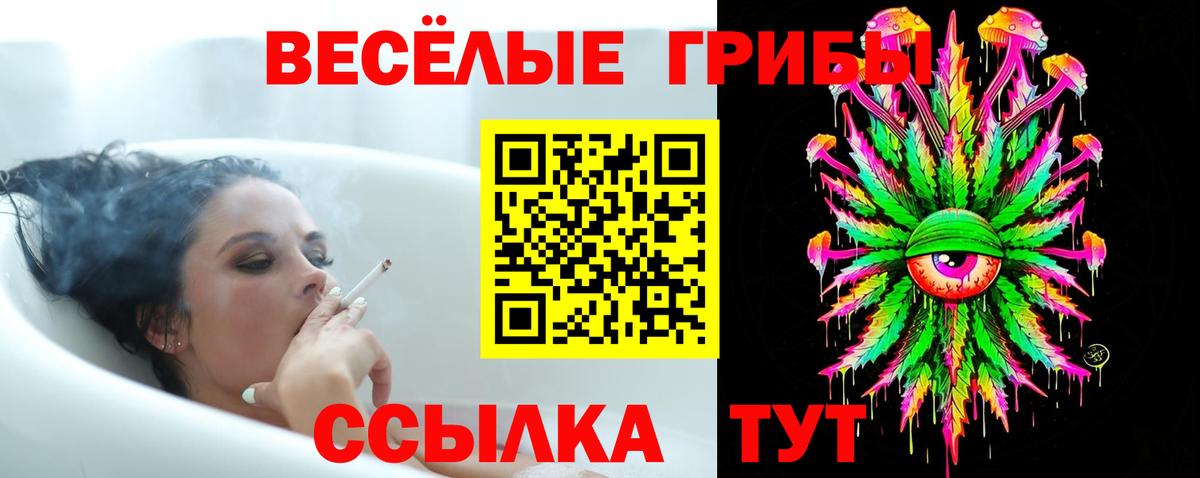 Галлюциногенные грибы GOLDEN TEACHER  купить наркоту  Когалым  Галлюциногенные грибы Psilocybe  Вход с VPN 
